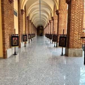 radical s.l. -edificación obra publica